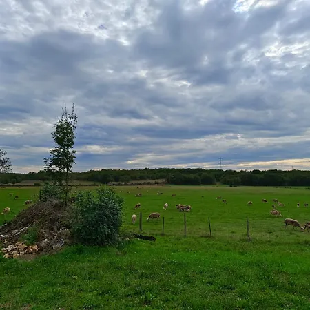 別荘 Valades - Avec Piscine Et Vue