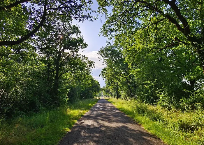 Valades - Avec Piscine Et Vue 펜션 *